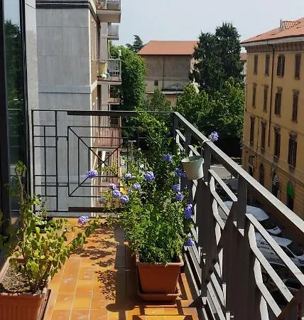 Fulvietta *